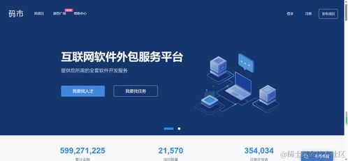 程序员线上接单渠道与软件外包服务概览