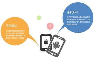 地域特色与市场格局 探究软件开发外包公司排名城市差异化的深层原因