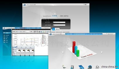 企业应用软件开发外包与定制服务